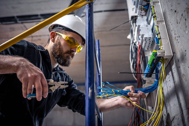 Best Electric Panel Repair  in Lakeland, MN