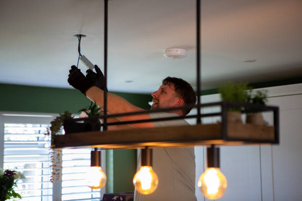 Best Ceiling Fan Installation Electrician  in Lakeland, MN